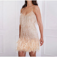 Mini robe de cocktail élégante avec paillettes brillantes et plumes douces - Hannah