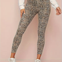 Leggings avec imprimé léopard taille haute pour femmes - Collants de sport en différentes couleurs