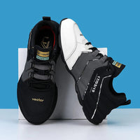 Chaussures élégantes pour hommes - Collection ROBERT