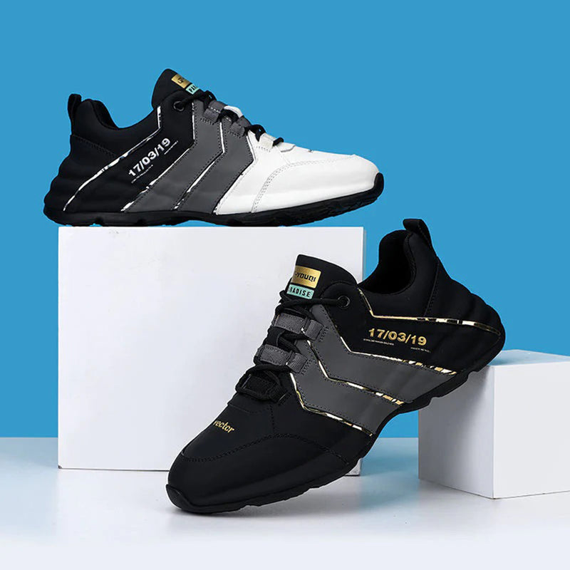 Chaussures élégantes pour hommes - Collection ROBERT