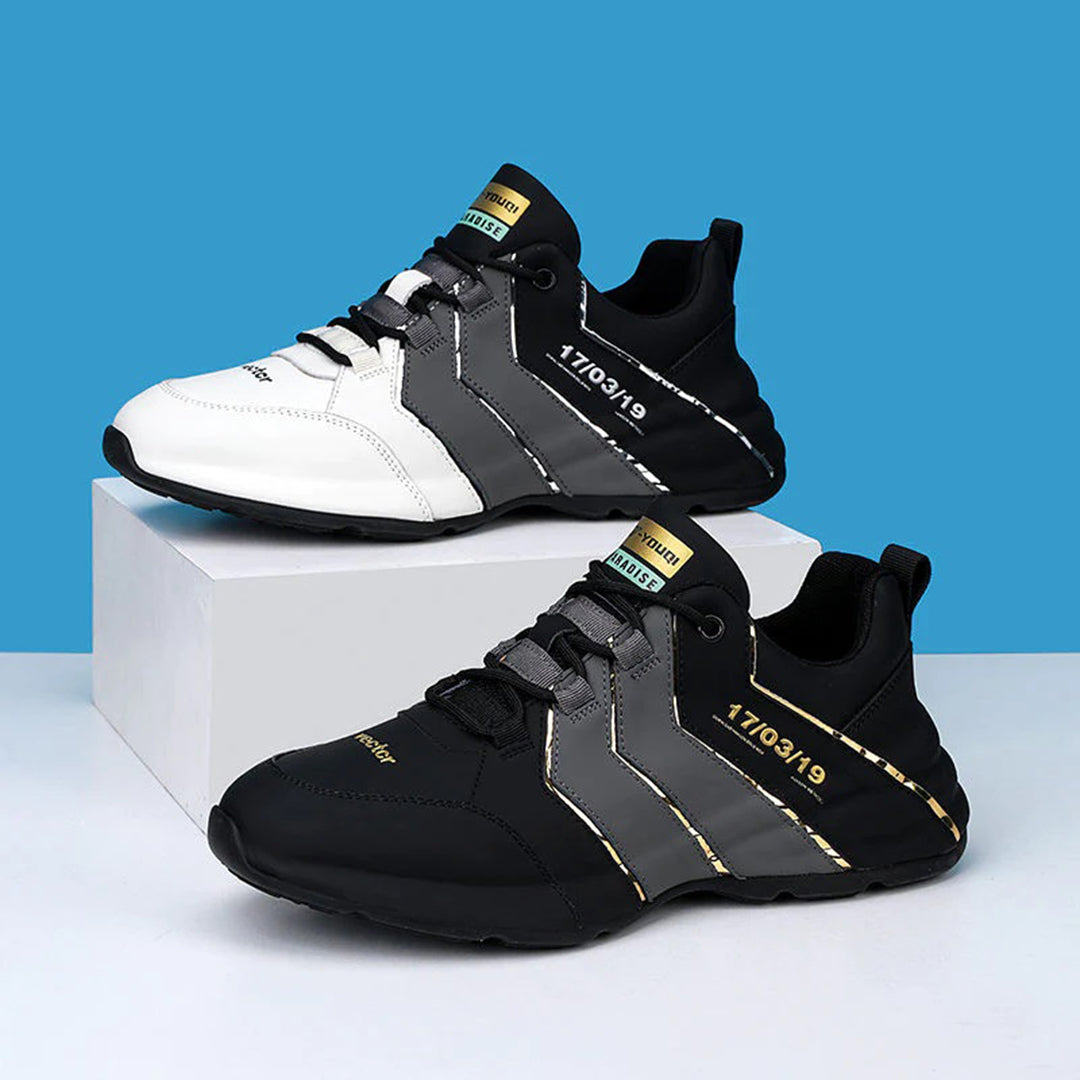 Chaussures élégantes pour hommes - Collection ROBERT