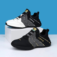 Chaussures élégantes pour hommes - Collection ROBERT